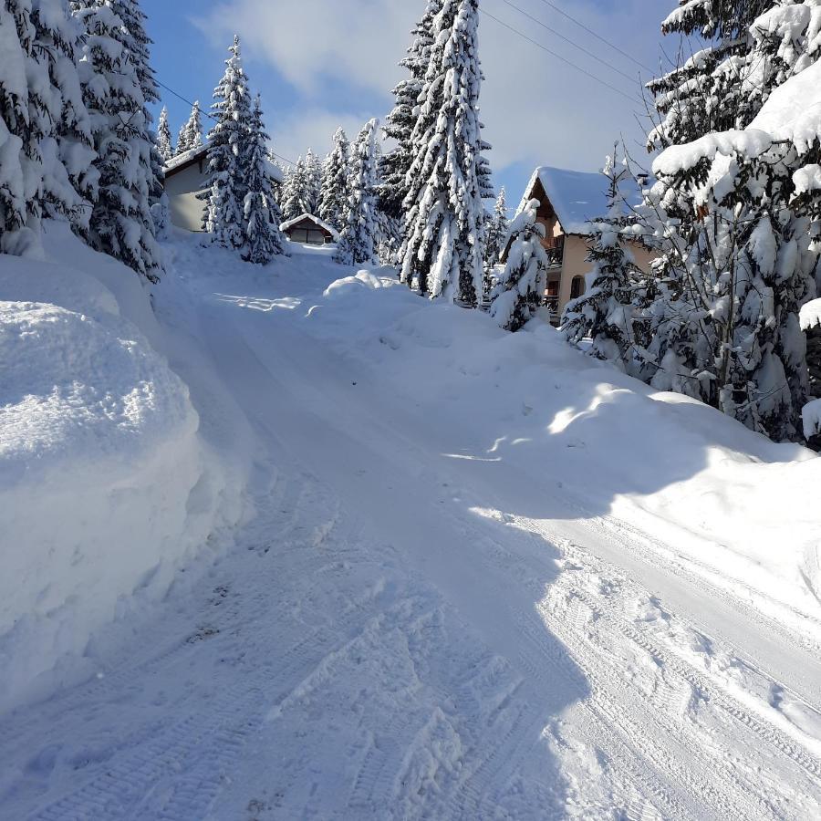 Vila Jelena Jahorina Exteriör bild