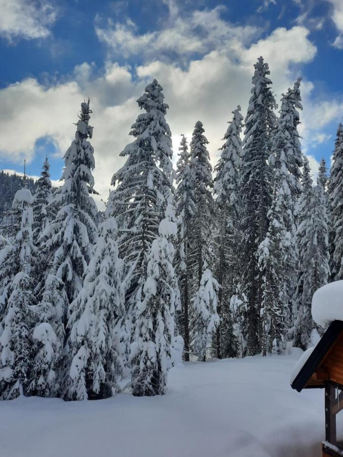 Vila Jelena Jahorina Exteriör bild