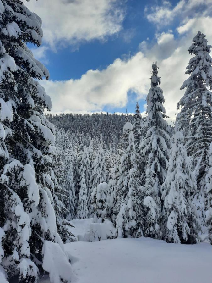 Vila Jelena Jahorina Exteriör bild