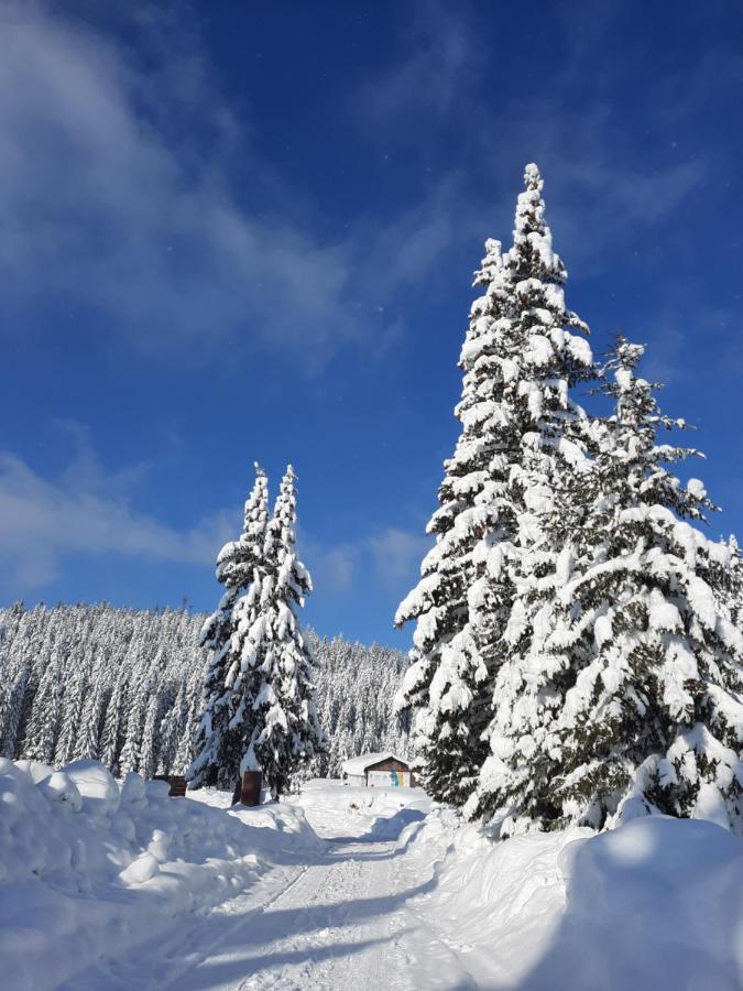 Vila Jelena Jahorina Exteriör bild