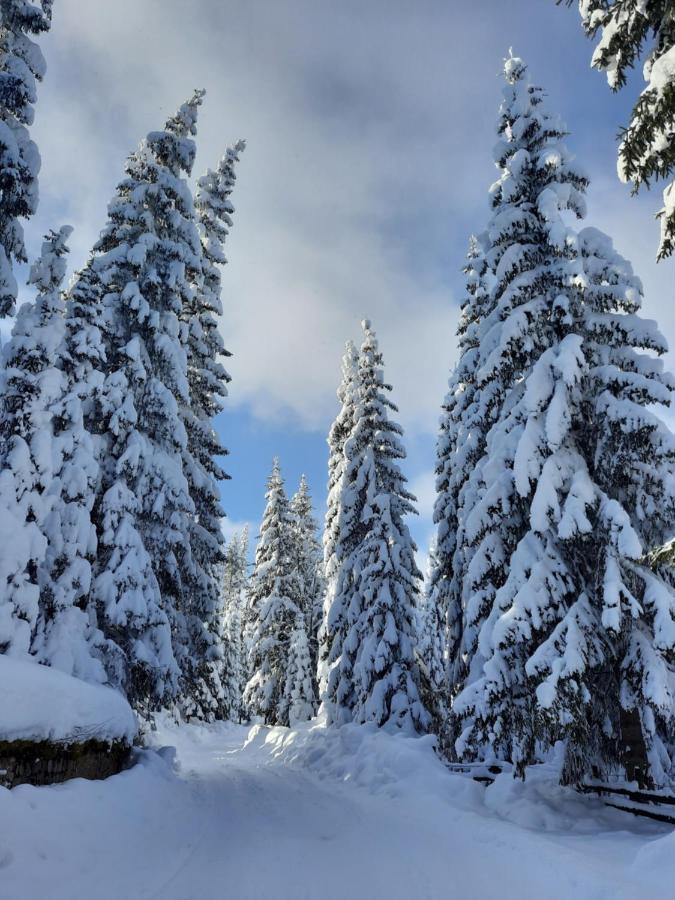 Vila Jelena Jahorina Exteriör bild