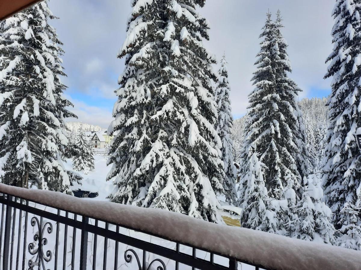 Vila Jelena Jahorina Exteriör bild
