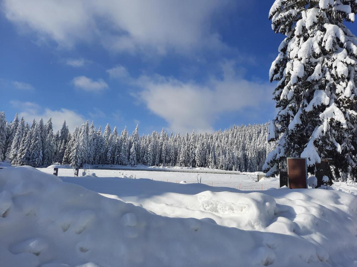Vila Jelena Jahorina Exteriör bild